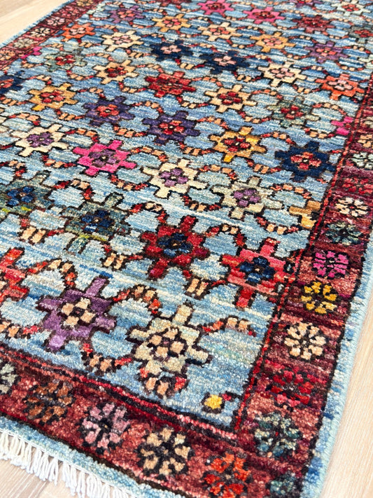 Transitional Shiraz 2'0"x3'2" Area Rug