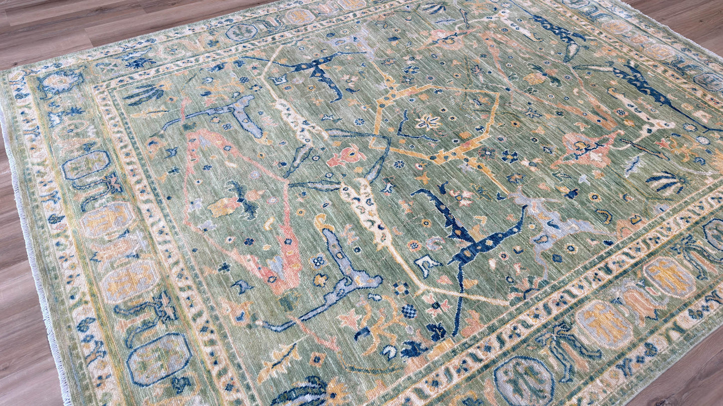 Transitional Bijar 7'9"x9'11"