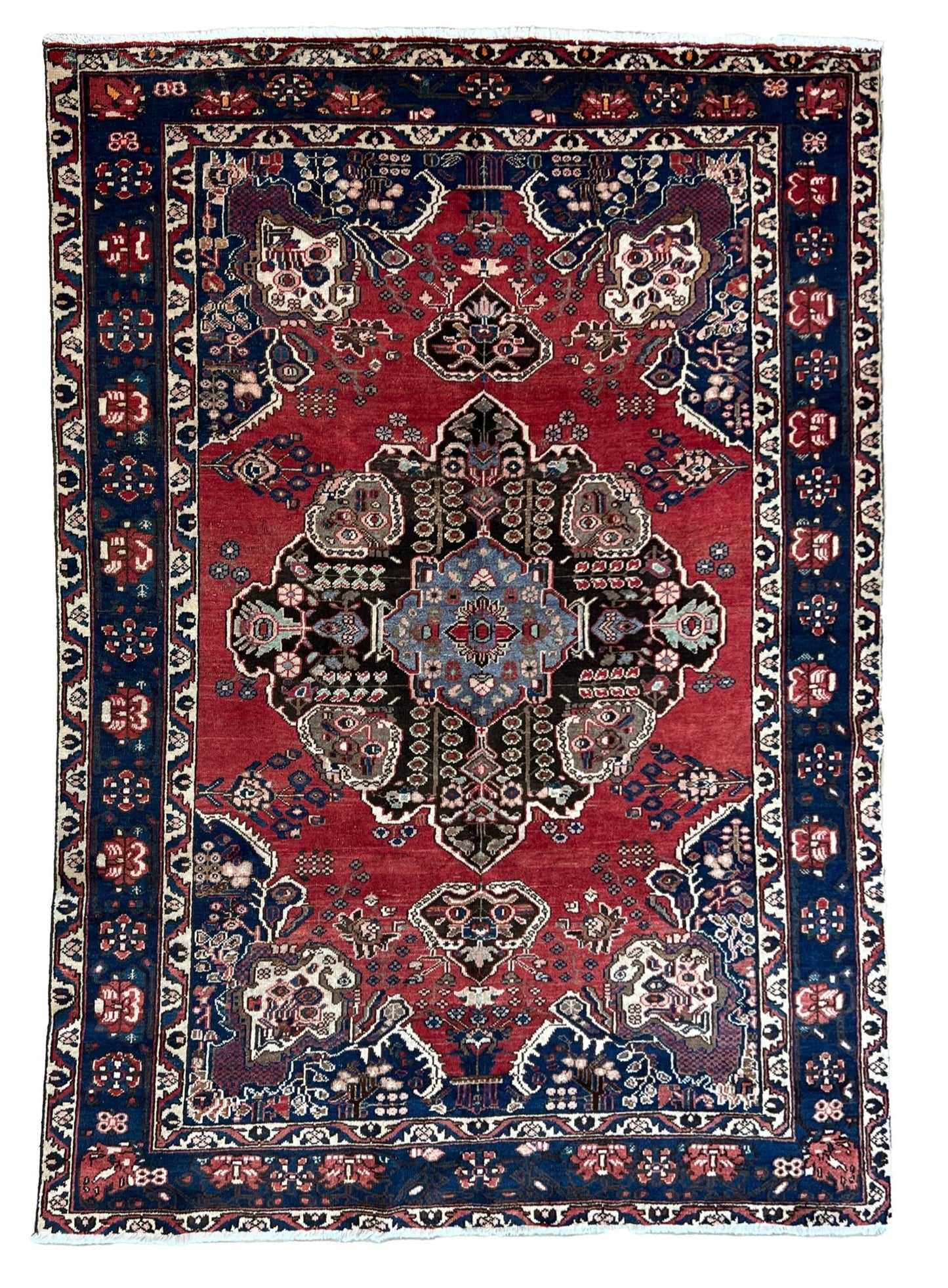Persian Baktiari 6'10"x9'11" Area Rug