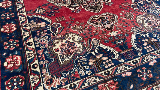 Persian Baktiari 6'10"x9'11" Area Rug
