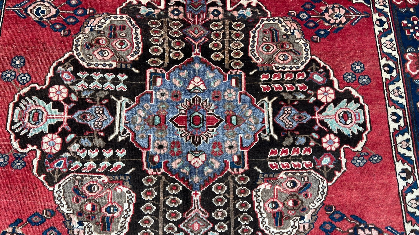Persian Baktiari 6'10"x9'11" Area Rug