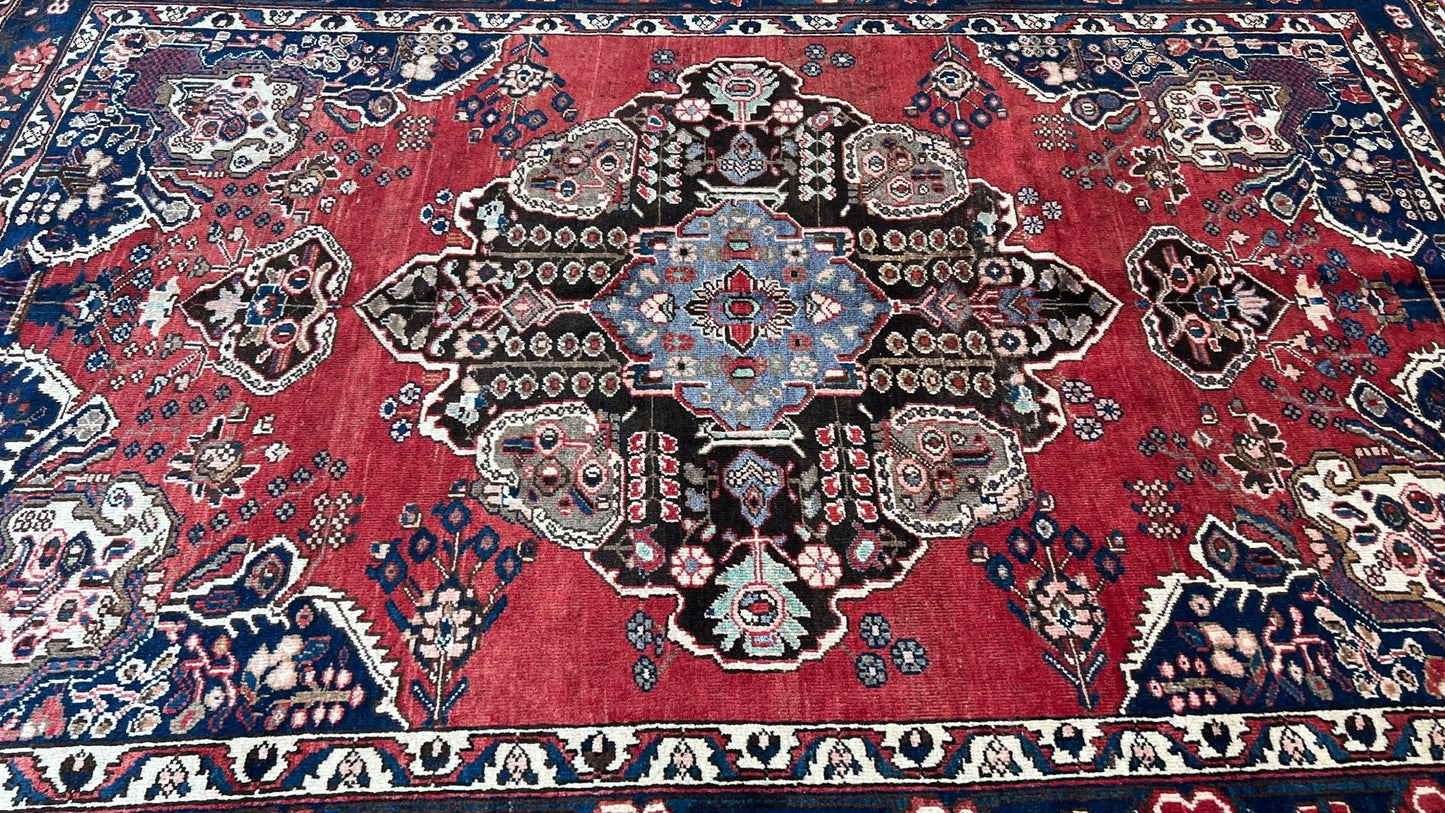 Persian Baktiari 6'10"x9'11" Area Rug