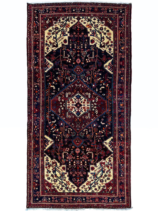 Persian Zanjan Runner 5'8"x 11" Area Rug