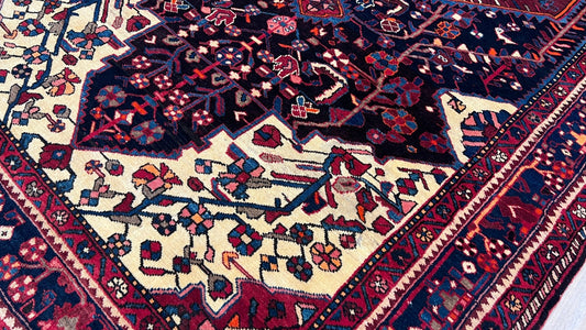 Persian Zanjan Runner 5'8"x 11" Area Rug
