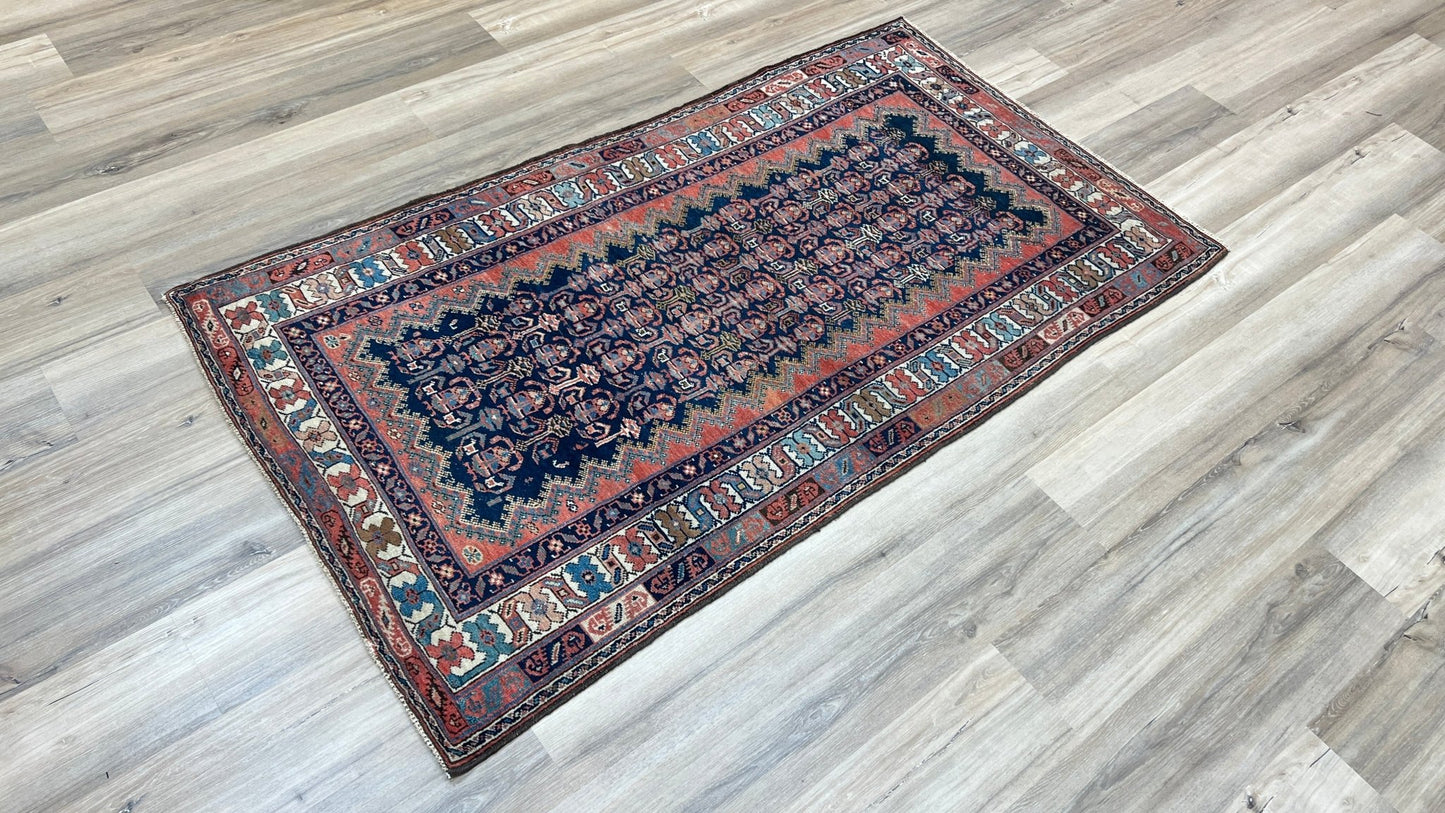 Persian Hamadan 3'3"x5'11" Area Rug
