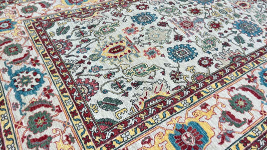 Transitional Bakshaish 6'x9'1" Area Rug