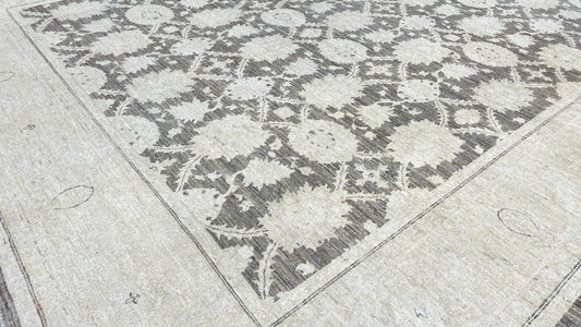 Transitional Oushak 9'x12' Area Rug