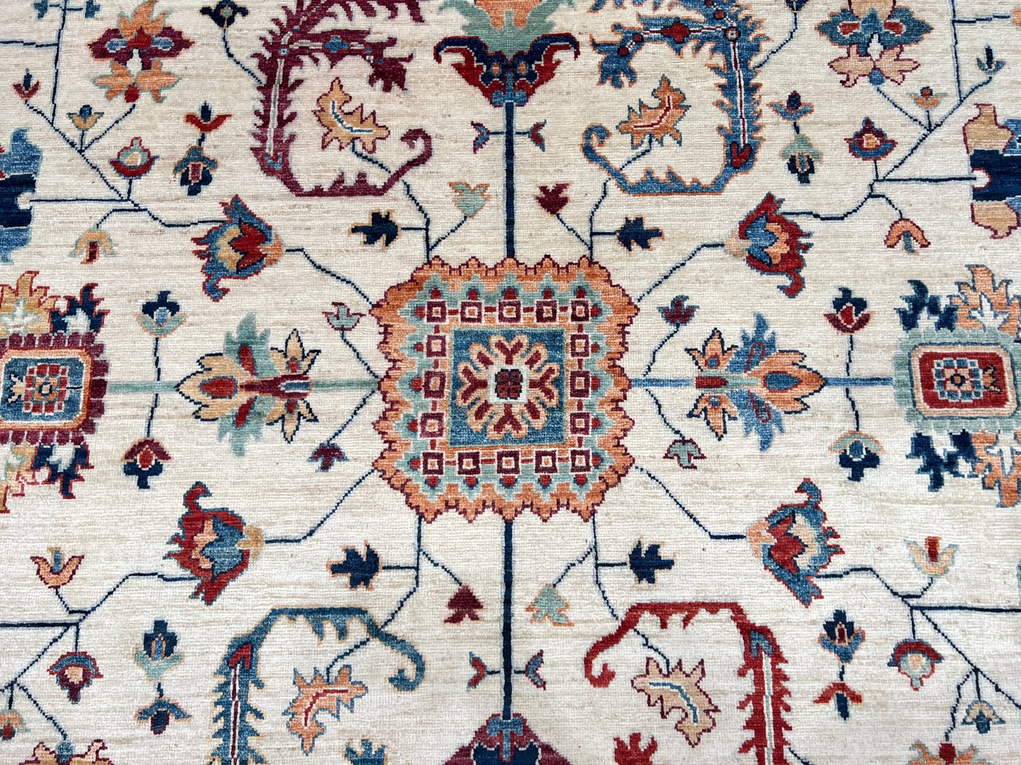 Transitional Serapi 8'10"x11'10" Area Rug