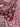 Transitional Serapi 3'4"x5'2" Area Rug