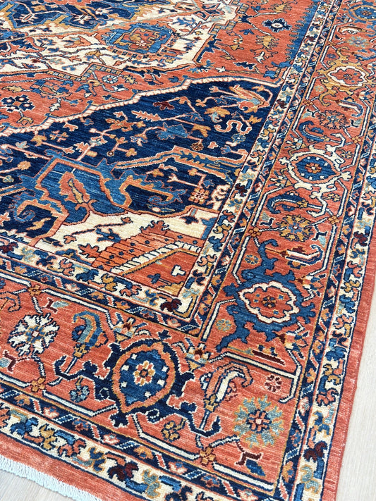 Transitional Heriz 8'2"x9'11" Area Rug