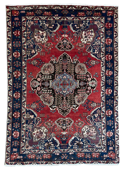 Persian Baktiari 6'10"x9'11" Area Rug