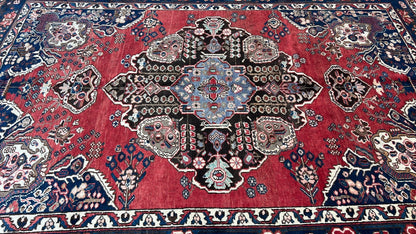 Persian Baktiari 6'10"x9'11" Area Rug